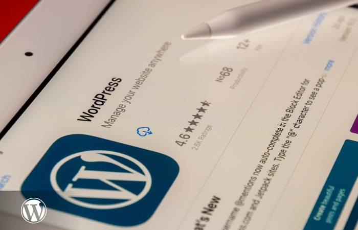 Hire WordPress Developers