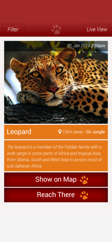 a wildlife app